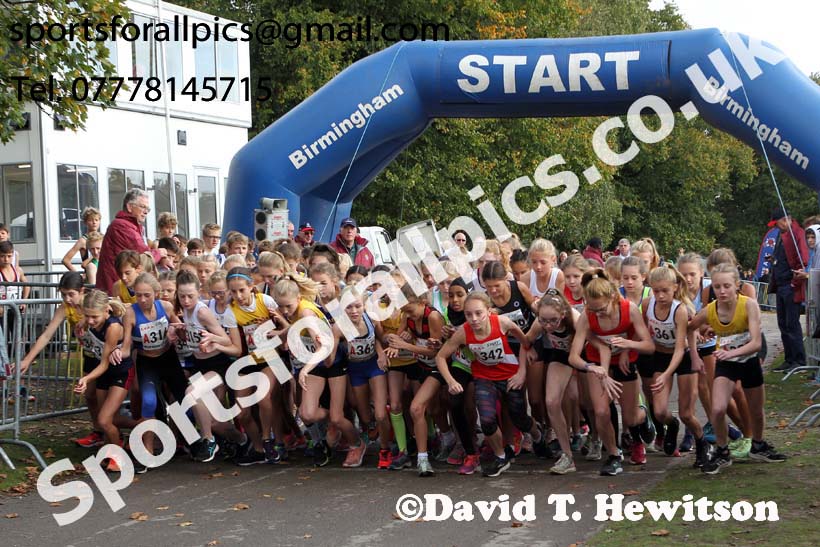Girls under-13 3 stage road relay, 2019 ERRA 6 and 4 Stage Relay and Young Athletes.  Photo: David T. Hewitson/Sports for All Pics